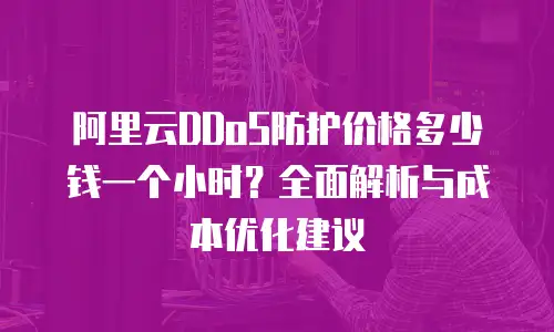 阿里云DDoS防护价格多少钱一个小时？全面解析与成本优化建议