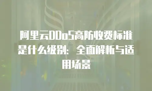 阿里云DDoS高防收费标准是什么级别：全面解析与适用场景