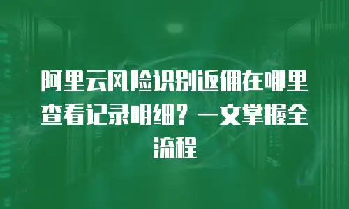 阿里云风险识别返佣在哪里查看记录明细？一文掌握全流程