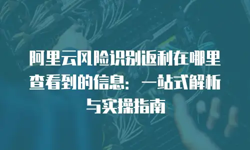 阿里云风险识别返利在哪里查看到的信息：一站式解析与实操指南
