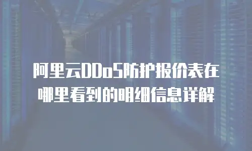 阿里云DDoS防护报价表在哪里看到的明细信息详解