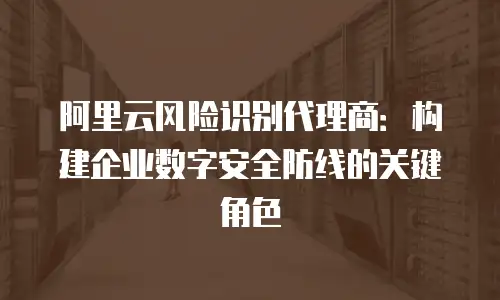 阿里云风险识别代理商：构建企业数字安全防线的关键角色