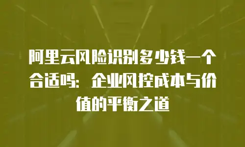 阿里云风险识别多少钱一个合适吗：企业风控成本与价值的平衡之道