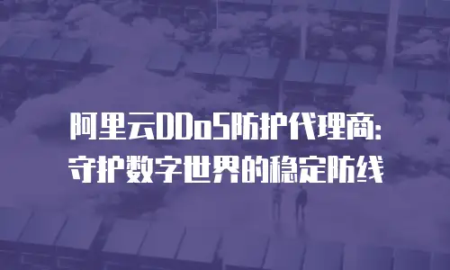 阿里云DDoS防护代理商：守护数字世界的稳定防线