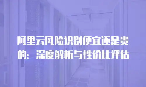 阿里云风险识别便宜还是贵的：深度解析与性价比评估