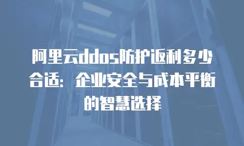 阿里云ddos防护返利多少合适：企业安全与成本平衡的智慧选择