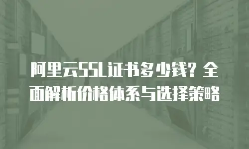 阿里云SSL证书多少钱？全面解析价格体系与选择策略