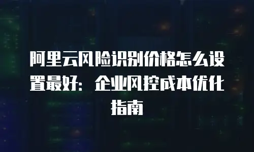 阿里云风险识别价格怎么设置最好：企业风控成本优化指南