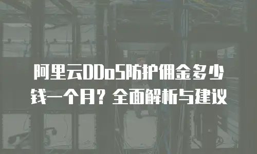 阿里云DDoS防护佣金多少钱一个月？全面解析与建议
