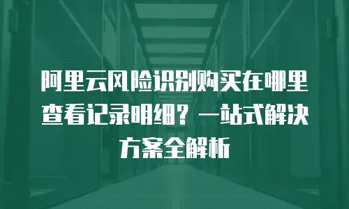 阿里云风险识别购买在哪里查看记录明细？一站式解决方案全解析