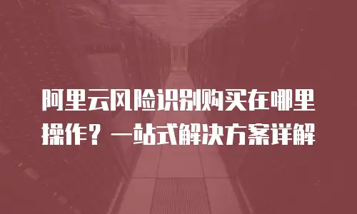 阿里云风险识别购买在哪里操作？一站式解决方案详解