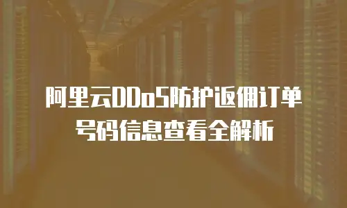 阿里云DDoS防护返佣订单号码信息查看全解析