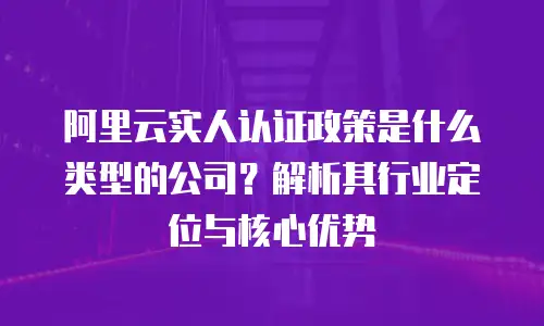 阿里云实人认证政策是什么类型的公司？解析其行业定位与核心优势