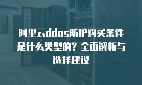 阿里云ddos防护购买条件是什么类型的？全面解析与选择建议