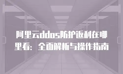阿里云ddos防护返利在哪里看：全面解析与操作指南