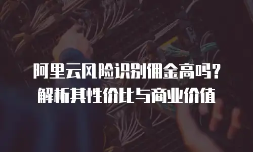 阿里云风险识别佣金高吗？解析其性价比与商业价值
