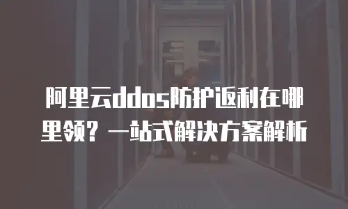 阿里云ddos防护返利在哪里领？一站式解决方案解析