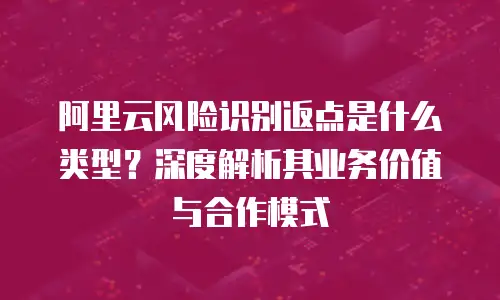 阿里云风险识别返点是什么类型？深度解析其业务价值与合作模式