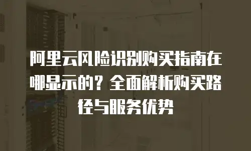 阿里云风险识别购买指南在哪显示的？全面解析购买路径与服务优势