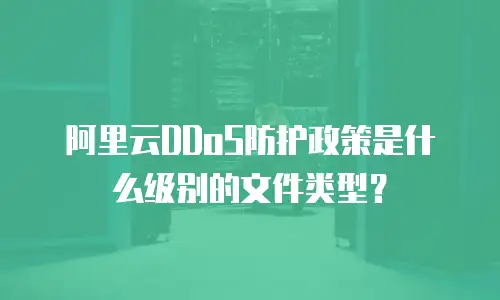 阿里云DDoS防护政策是什么级别的文件类型？