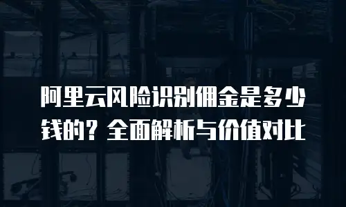 阿里云风险识别佣金是多少钱的？全面解析与价值对比