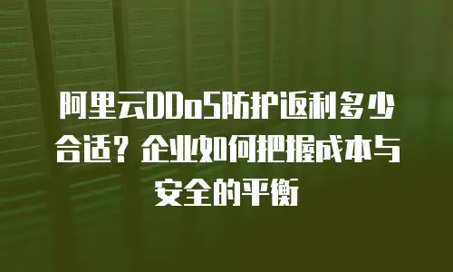 阿里云DDoS防护返利多少合适？企业如何把握成本与安全的平衡