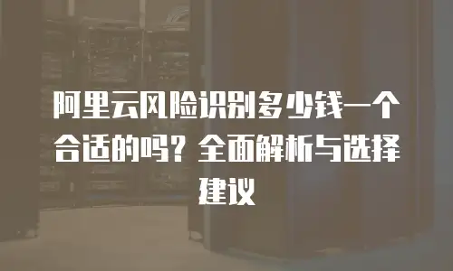阿里云风险识别多少钱一个合适的吗？全面解析与选择建议
