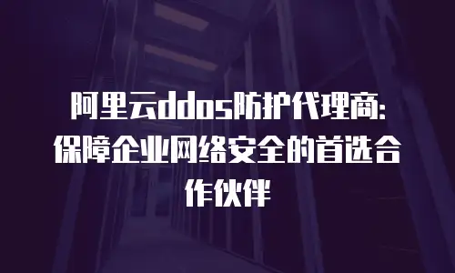 阿里云ddos防护代理商：保障企业网络安全的首选合作伙伴