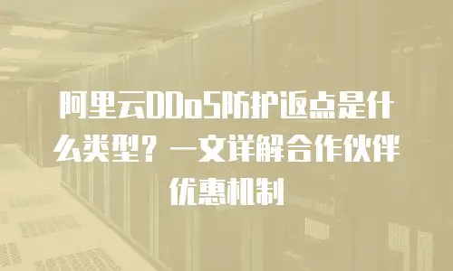 阿里云DDoS防护返点是什么类型？一文详解合作伙伴优惠机制