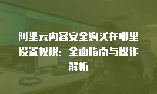阿里云内容安全购买在哪里设置权限：全面指南与操作解析