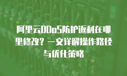 阿里云DDoS防护返利在哪里修改？一文详解操作路径与优化策略