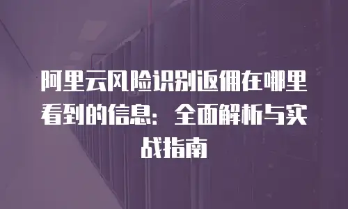 阿里云风险识别返佣在哪里看到的信息：全面解析与实战指南