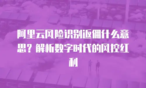阿里云风险识别返佣什么意思？解析数字时代的风控红利