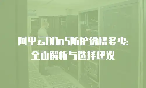 阿里云DDoS防护价格多少：全面解析与选择建议