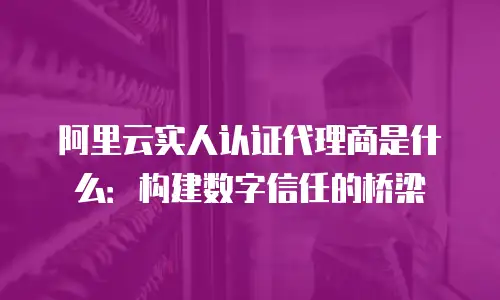 阿里云实人认证代理商是什么：构建数字信任的桥梁