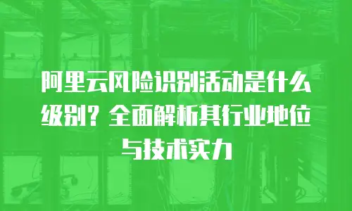 阿里云风险识别活动是什么级别？全面解析其行业地位与技术实力