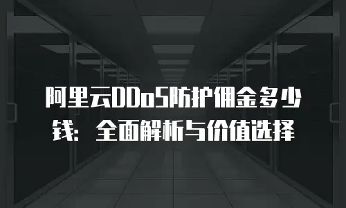 阿里云DDoS防护佣金多少钱：全面解析与价值选择