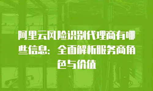 阿里云风险识别代理商有哪些信息：全面解析服务商角色与价值