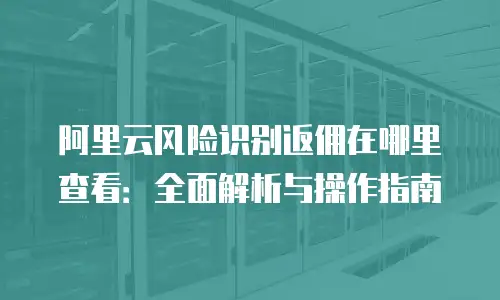阿里云风险识别返佣在哪里查看：全面解析与操作指南