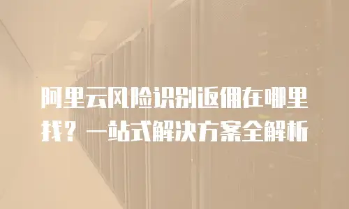 阿里云风险识别返佣在哪里找？一站式解决方案全解析