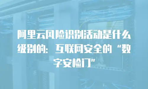阿里云风险识别活动是什么级别的：互联网安全的“数字安检门”