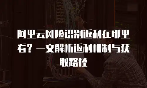 阿里云风险识别返利在哪里看？一文解析返利机制与获取路径