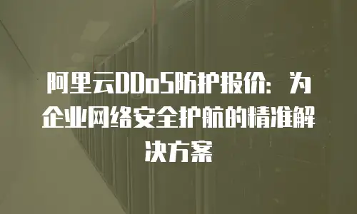阿里云DDoS防护报价：为企业网络安全护航的精准解决方案