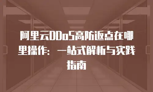 阿里云DDoS高防返点在哪里操作：一站式解析与实践指南