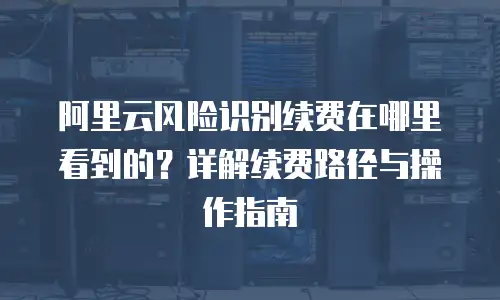 阿里云风险识别续费在哪里看到的？详解续费路径与操作指南