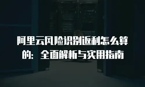 阿里云风险识别返利怎么算的：全面解析与实用指南