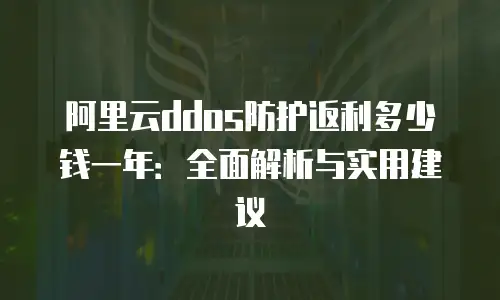 阿里云ddos防护返利多少钱一年：全面解析与实用建议