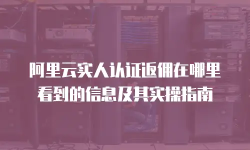 阿里云实人认证返佣在哪里看到的信息及其实操指南