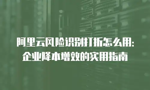 阿里云风险识别打折怎么用：企业降本增效的实用指南