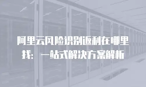 阿里云风险识别返利在哪里找：一站式解决方案解析